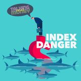 Hidden Index Fund Problem