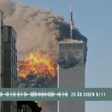 Dagen der ændrede dansk forsvar – 25 år efter 11. september