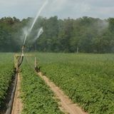 Va a irrigare un terreno e non rientra per il pranzo: un malore o una caduta a stroncare l’agricoltore