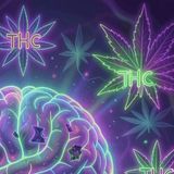 Psicosi da cannabis: si guarisce? Sintomi e fattori di rischio