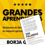 73: 300 palabras de Isra Bravo: Resumen del libro con aprendizajes