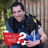 Part 1: Navigating Cancer with Dr. Kyle Renaldo, DACVIM – Oncology