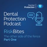 Risk Bites: The other side of the fence - Part 1
