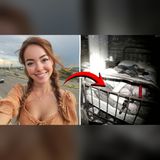 I Searched 12 Days for My Daughter Near Yellowstone… Then We Found Her Tied to a Bed in a Cabin, Repeating One Word