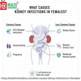 What Causes Kidney Infections in Females?
