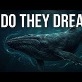 The Ultimate Secret About Whales You Never Knew Until Now