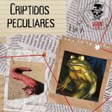 Ep. 7 Críptidos peculiares (Gusano de la Muerte Mongol, Víbora de la Jícara, el Cuero, Squonk y la Rana de Loveland)
