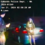 ‘I’m Above The Law: Privileged Teen Gets Drunk Drives Wrong-Way On the Highway