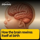 How the brain rewires itself at birth