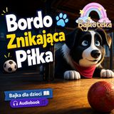 ⚽ Bordo i Znikająca Piłka🐾 _ Bajki Dla Dzieci Do Słuchania Audiobook Po Polsku _ 🐾