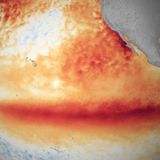 Onu: il clima del pianeta è in grave pericolo a causa di El Niño