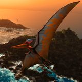 Il volo dello pterodattilo