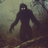 "QUALCOSA MI STAVA SEGUENDO DAL BOSCO!" - 5 Storie TERRIFICANTI!