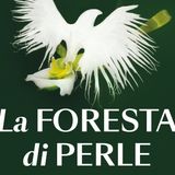 Enrica Bortolazzi "La foresta di perle"
