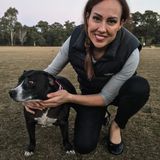 How dogs think — and what they think of us
