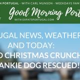 Bad news & good news: Covid Christmas crunch & Frankie the blind bear-dog rescued!