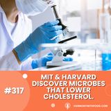 MIT & Harvard Discover Microbes That Lower Cholesterol.