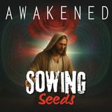 Sowing Seeds: Spiritual Ancestors, Spiritual Warfare, Jesus' Love, Toroidal Universe, Merkabah Orbs, & Awakening w/ Lindsey Scharmyn