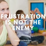 3351 Frustration Is Not The Enemy