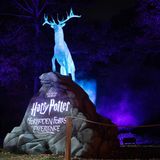 Subculture Theatre Reviews - HARRY POTTER FORBIDDEN FOREST EXPERIENCE
