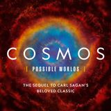 Ann Druyan Releases The Book Cosmos Possible Worlds