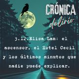 3.12. Elisa Lam en el Hotel Cecil: la historia real detrás del vídeo del ascensor.