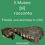 Il Museo (si) racconta: Fiesole, una leonessa in città - Musei di Fiesole