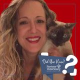 How Can I Help? Adventures in Hospital Concierge Care