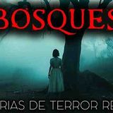 Historias de Terror de Bosques _ Historias Reales(MP3_160K)