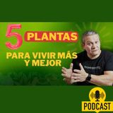 👉 5 Plantas Medicinales para Vivir Más y Mejor | Longevidad Natural con Evidencia Científica