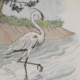 De Reiger | Aesopus Fabels