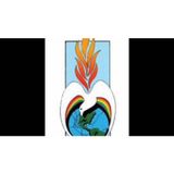 Episode 10: Condom safety: Risks you'll never hear about