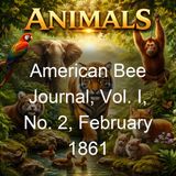 American Bee Journal Vol I No 2 February 1861 - Various