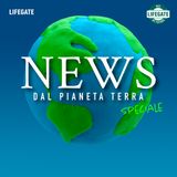 Il piccolo grande mondo delle api – con Gianumberto Accinelli e Marco Zucchetti