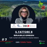#7 Acqua e transizione energetica, come può aiutarci il Brasile - Estela Testa, Pieralisi Brasil