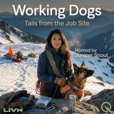 Working Dogs - Discover the heroes among us with Juniper Snout
