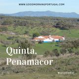 Good Morning Portugal! Casa do Dia: 'Quinta, Penamacor'