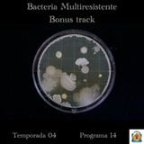 Bacteria multiresistente