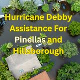 Debby Assistance - Timothy Watson SBA