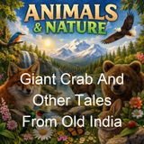 Giant Crab And Other Tales From Old India - W H D Rouse