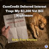 I Saved My Dog but Ruined My Credit: The CareCredit Trap