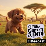 Chispas, el pequeño perrito pastor