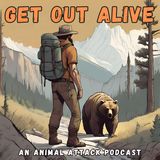 Ep. 4: A cougar attack on horseback (feat. Petros Chrysafis)