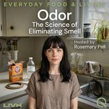 Odor - The Hidden Smells in Your Fabrics and Floors
