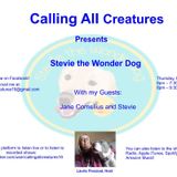 Calling All Creatures Presents Stevie the Wonder Dog