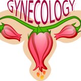 What Happens When You Visit Gynaecologists In London For A Vaginal Swab Test?