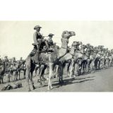 Ep. 43: La guerra in Africa III (Namibia, 4 agosto - 12 ottobre 1914)