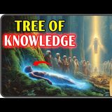 Why Did God Create the Tree of Knowledge If He Knew Adam and Eve Would Sin - Black Bible Truths