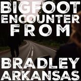 BIGFOOT ENCOUNTER FROM BRADLEY ARKANSAS | I WILL NEVER FORGET THIS TERRIFYING ENCOUNTER