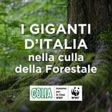 I giganti d’Italia nella culla della Forestale